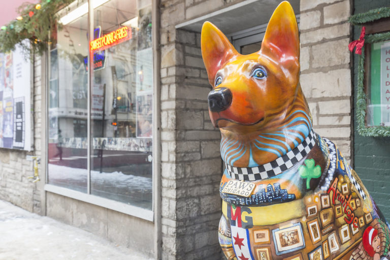 Downtown Dogs Chicago Hot DogsAbsolutely No Ketchup